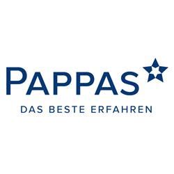 pappas niklasdorf|Pappas Steiermark GmbH, Niklasdorf, Mercedes